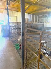 186 County Road 520 - Photo 40