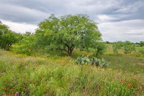 6187 FM 586 S - Photo 29