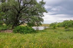 6187 FM 586 S - Photo 30