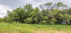 6187 FM 586 S - Photo 33