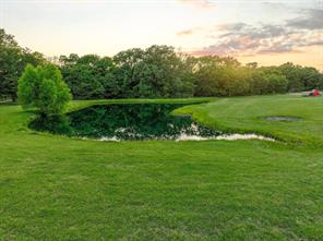 7106 County Road 4729 - Photo 6