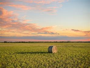 1549 FM 219 - Photo 7