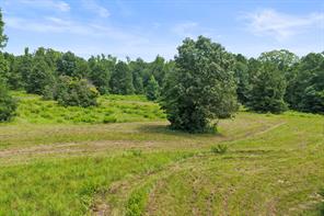 1381 COUNTY ROAD 1763 - Photo 1
