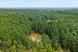 1381 COUNTY ROAD 1763 - Photo 10