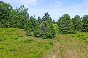 1381 COUNTY ROAD 1763 - Photo 13