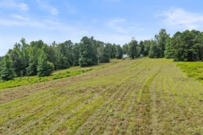 1381 COUNTY ROAD 1763 - Photo 16