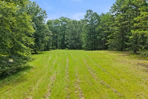 1381 COUNTY ROAD 1763 - Photo 17