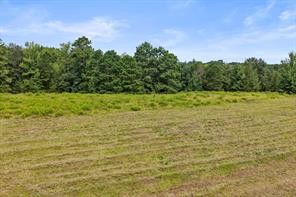 1381 COUNTY ROAD 1763 - Photo 19
