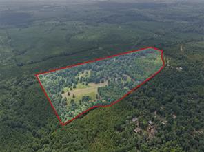 1381 COUNTY ROAD 1763 - Photo 4