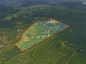 1381 COUNTY ROAD 1763 - Photo 5