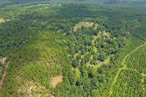1381 COUNTY ROAD 1763 - Photo 6
