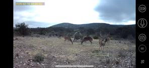 Lot 59 Oak Bend Ranch - Photo 2