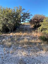 Lot 59 Oak Bend Ranch - Photo 4