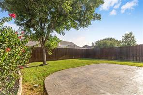 4617 Dwarf Nettle Drive - Photo 29