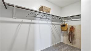 1516 LEMON TREE Lane - Photo 21