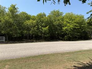 8253 Lax Drive - Photo 1