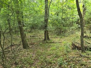 9999 County Road 2304 - Photo 1