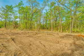 11 Delano Court - Photo 11