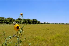TBD New Windsor Parkway - Photo 4