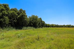 TBD New Windsor Parkway - Photo 5