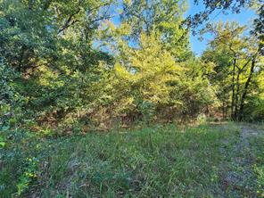 tbd County Rd 3613 - Photo 15