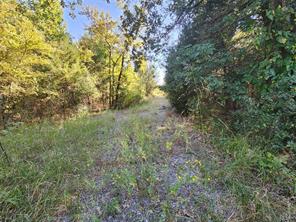 tbd County Rd 3613 - Photo 16