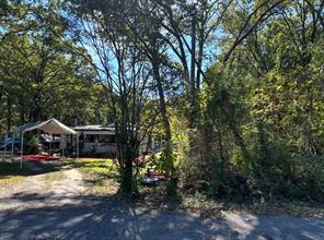 207 Acres Loop - Photo 1
