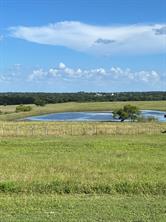 6303 Greenvine Road - Photo 2