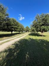 6303 Greenvine Road - Photo 25