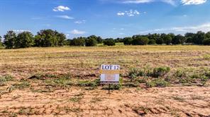 Lot 12 Three Quarter Loop - Photo 10