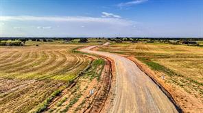 Lot 12 Three Quarter Loop - Photo 9