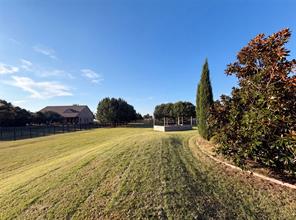 6530 Swallow Court - Photo 19