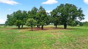 TBD US Hwy 377 - Photo 12