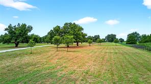 TBD US Hwy 377 - Photo 13