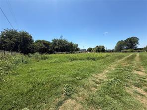 4717 Thomas Acres Road - Photo 6