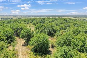 6551 Crooked Creek Road - Photo 14