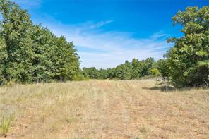 6551 Crooked Creek Road - Photo 17