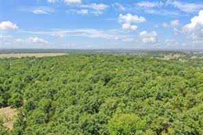 6551 Crooked Creek Road - Photo 8