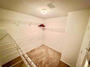 1313 Dakota Trail - Photo 12