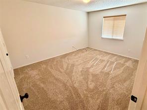 1313 Dakota Trail - Photo 17