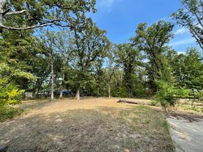1353 Shady Lane - Photo 1