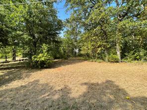 LOT # 18 SHADY Lane - Photo 1