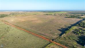 100 Acres County Road 154 - Photo 1