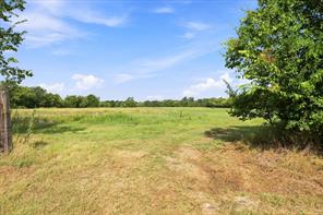 1131 Vz CR 3815 - Photo 12