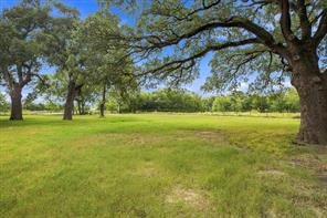 1131 Vz CR 3815 - Photo 13