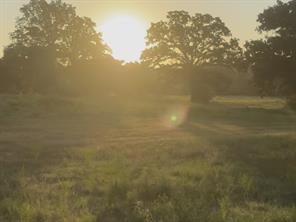 TBD Tract 37 FM 1451 - Photo 2