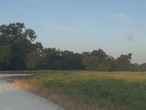TBD Tract 37 FM 1451 - Photo 6