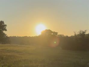 TBD Tract 37 FM 1451 - Photo 7
