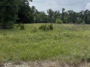 TBD Tract 37 FM 1451 - Photo 9