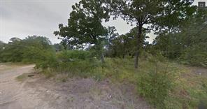 TBD Cayuga - Photo 1